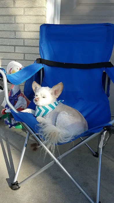 Animal Hospital of Sun Prairie Picture 8