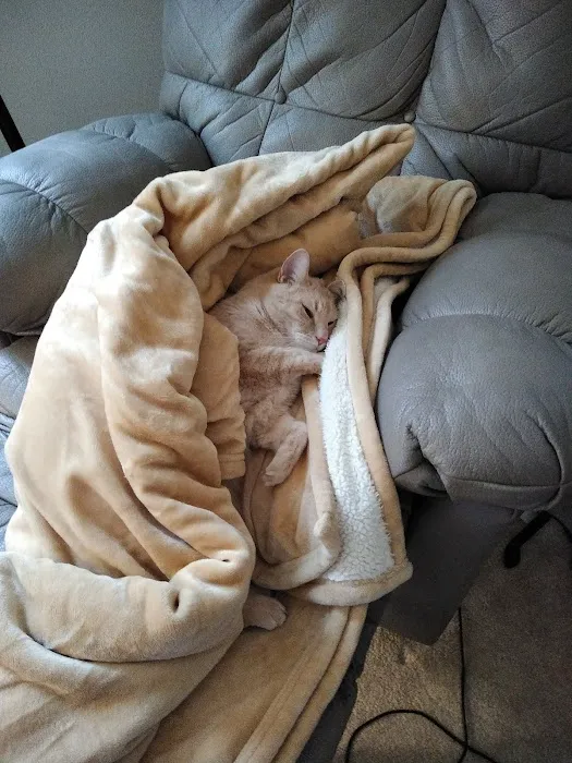 Animal Hospital of Sun Prairie Picture 10