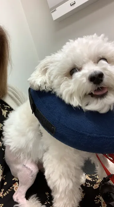 Animal Hospital of Sun Prairie Picture 7