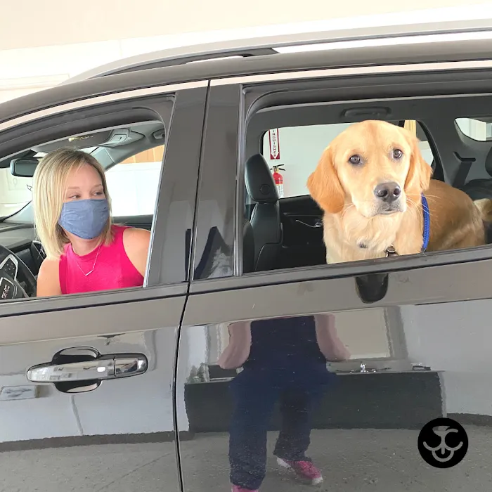 Checkout Veterinary Picture 7