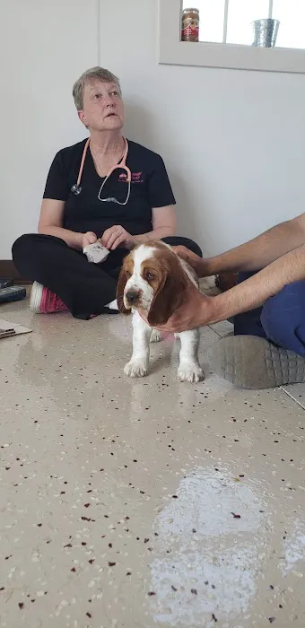 Checkout Veterinary Picture 5