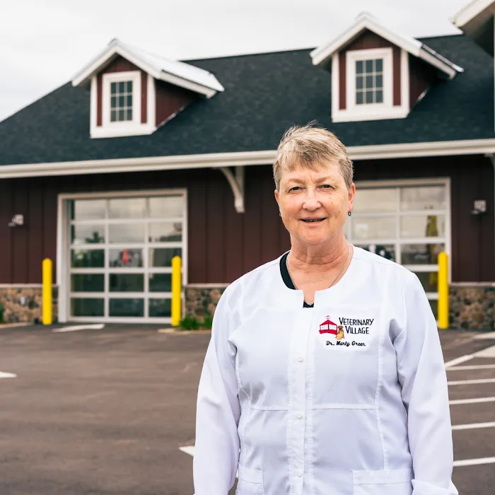 Checkout Veterinary Picture 10