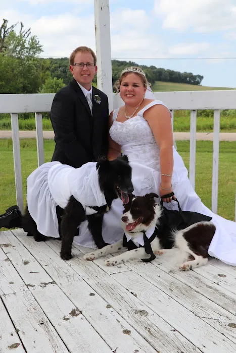 Sun Prairie Pet Clinic Inc: Vitale Christopher DVM Picture 1