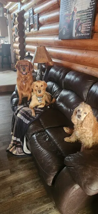 Sun Prairie Pet Clinic, Inc Picture 3