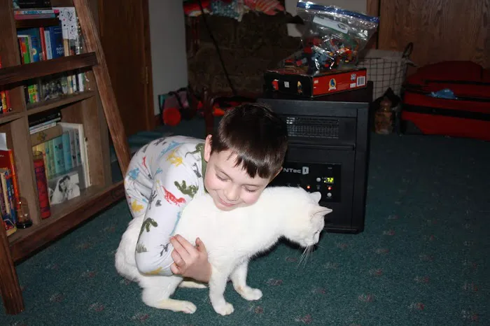 Sun Prairie Pet Clinic, Inc Picture 7