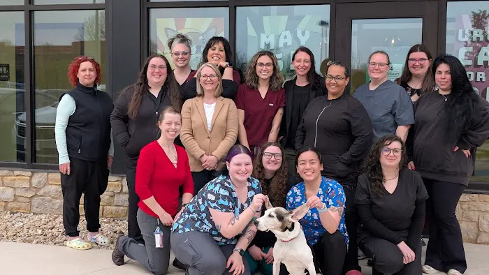 Animal Center for Emergency and Specialty (ACES) Picture 6