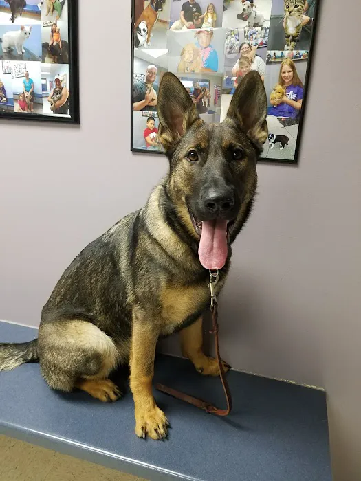 Waterloo Veterinary Care Picture 2