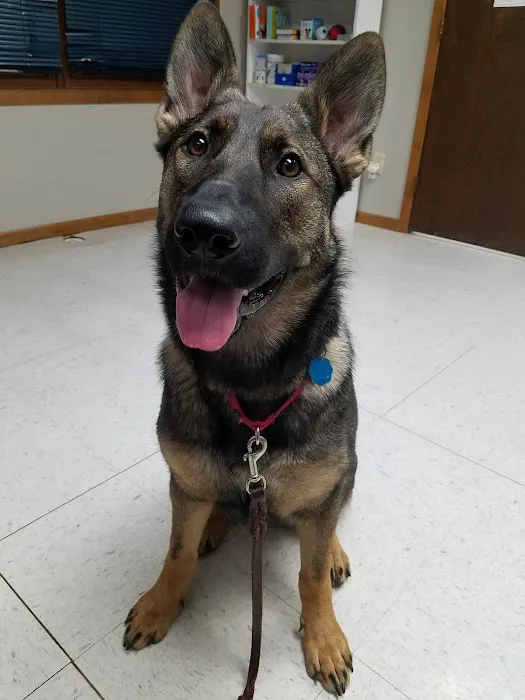 Waterloo Veterinary Care Picture 1