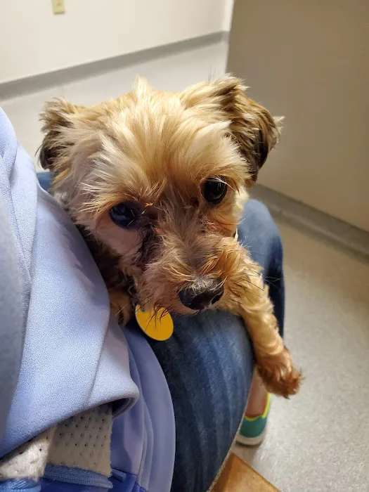 Waterloo Veterinary Care Picture 5