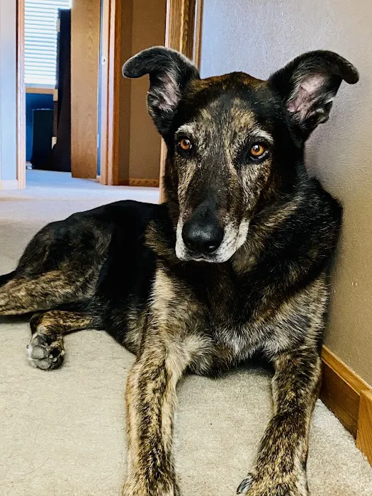 Waterloo Veterinary Care Picture 4