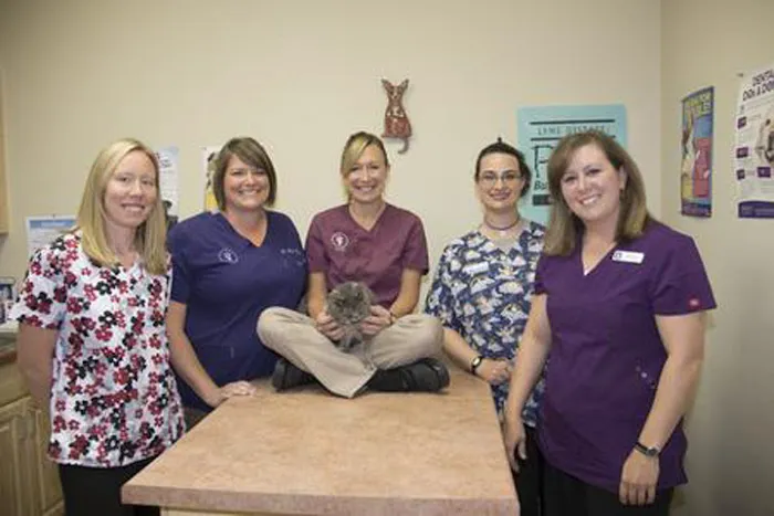 Marshall Pet Care Clinic Picture 6