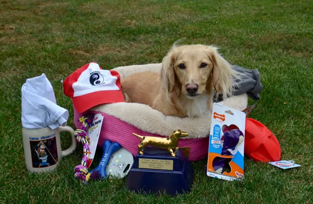 Animal Holistic Care Specialists Picture 2