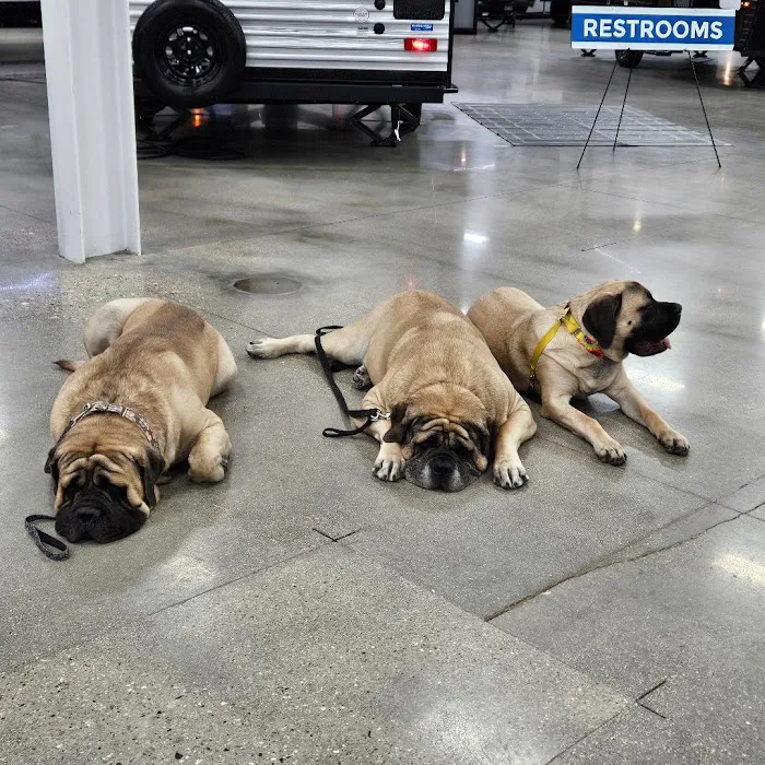 Animal Holistic Care Specialists Picture 10