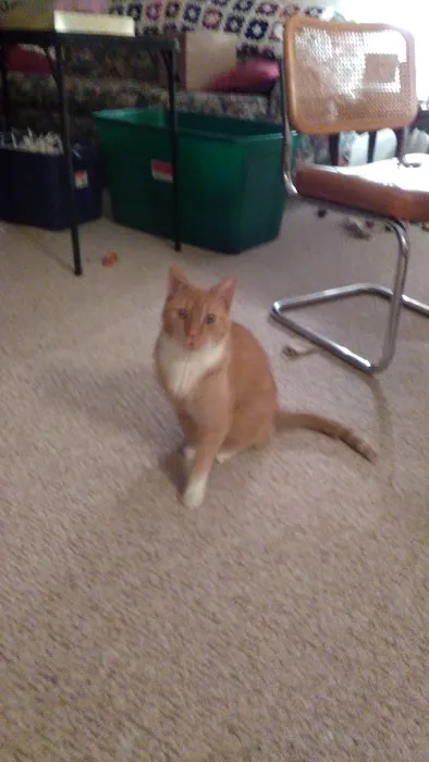 Rock River Veterinary Clinic Picture 1