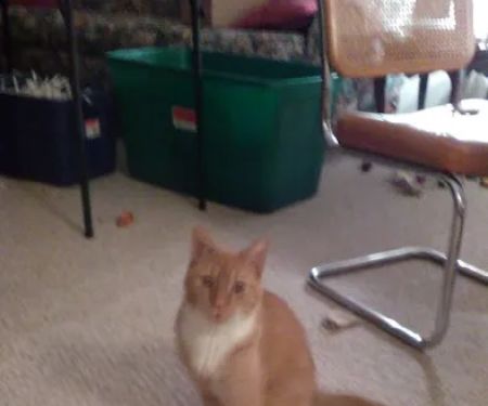 Rock River Veterinary Clinic