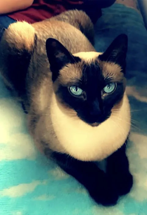 Rock River Veterinary Clinic Picture 3