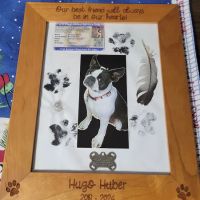 Dickeyville Veterinary Clinic ico