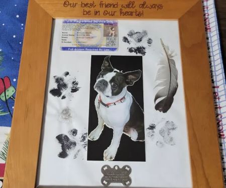 Dickeyville Veterinary Clinic