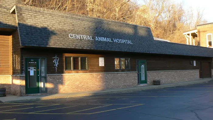 Vanderloo & White Animal Hospital Formerly Central Animal Hospital Picture 3