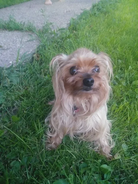 Vanderloo & White Animal Hospital Picture 2