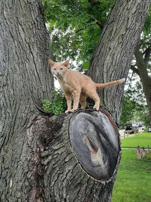 Vanderloo & White Animal Hospital Picture 1