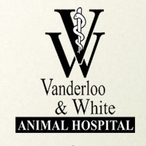 Vanderloo & White Animal Hospital Picture 8