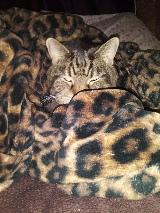 Vanderloo & White Animal Hospital Picture 6