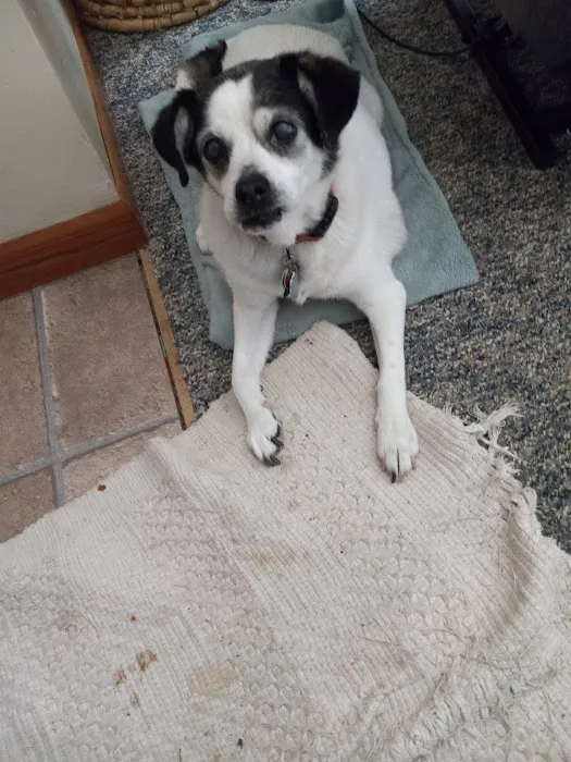 Vanderloo & White Animal Hospital Picture 4