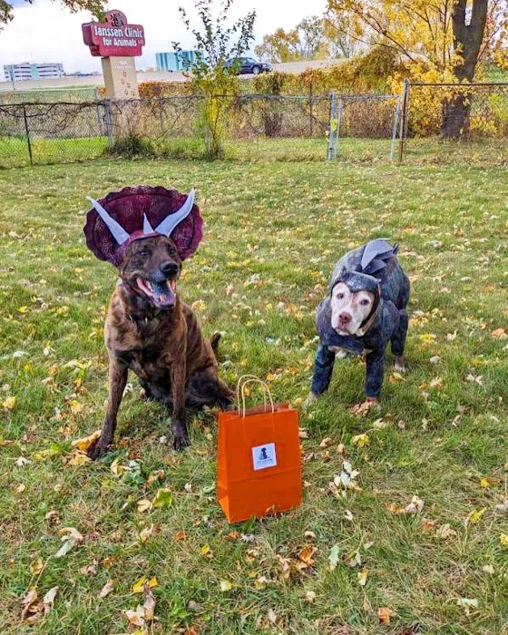 Foxridge Veterinary Care Picture 4