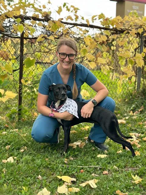 Foxridge Veterinary Care Picture 7