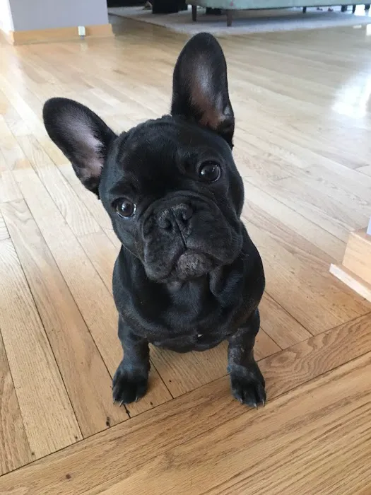 Sondel Family Veterinary Clinic Picture 1