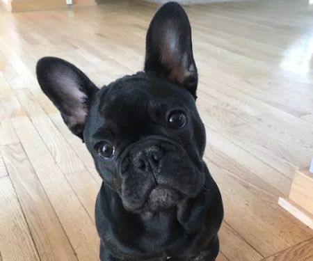 Sondel Family Veterinary Clinic