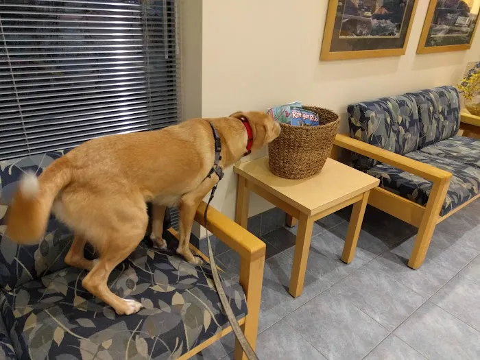 Sondel Family Veterinary Clinic Picture 3