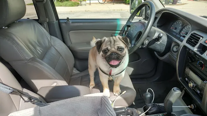 Sondel Family Veterinary Clinic Picture 4