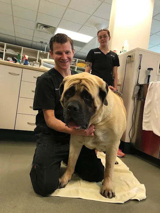 Sondel Family Veterinary Clinic Picture 8