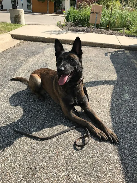 Sondel Family Veterinary Clinic Picture 9