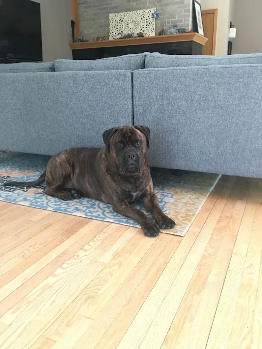 Sondel Family Veterinary Clinic Picture 10