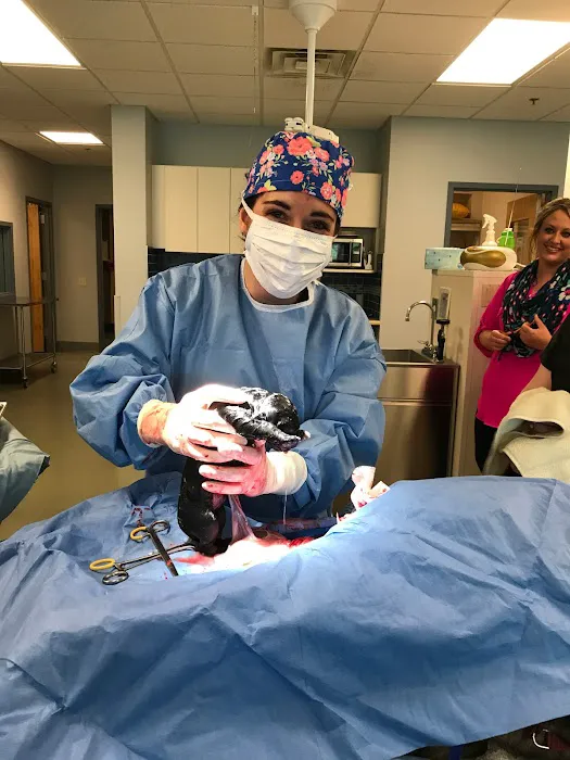 Sondel Family Veterinary Clinic Picture 7