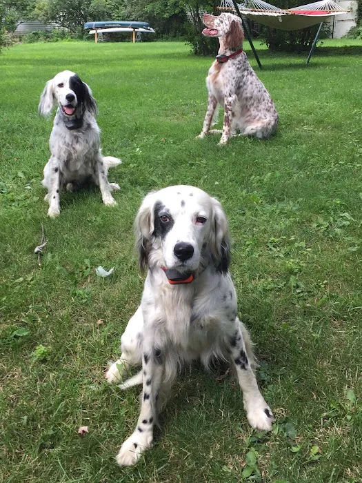 HEAL Integrative Veterinary Center Picture 3