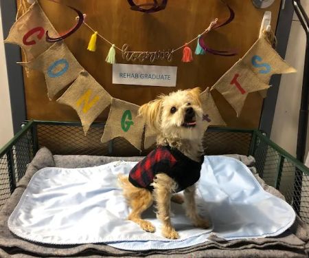 HEAL Integrative Veterinary Center