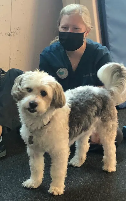 HEAL Integrative Veterinary Center Picture 6