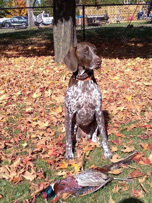 HEAL Integrative Veterinary Center Picture 7