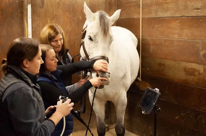 Irongate Equine Clinic Picture 1