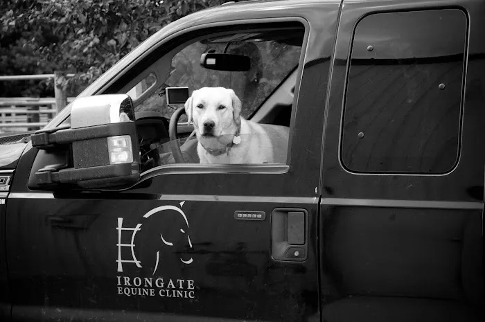 Irongate Equine Clinic Picture 7