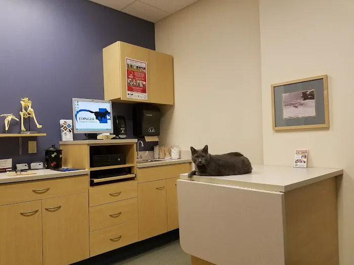 Edinger Surgical Options Picture 1