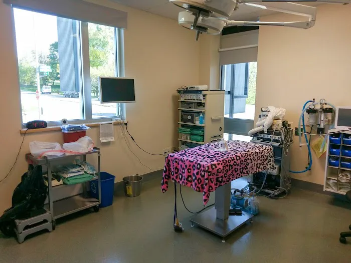 Edinger Surgical Options Picture 7