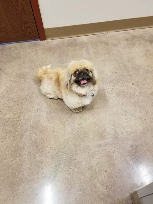 Passion for Paws Veterinary Clinic, Boarding and Daycare Picture 2