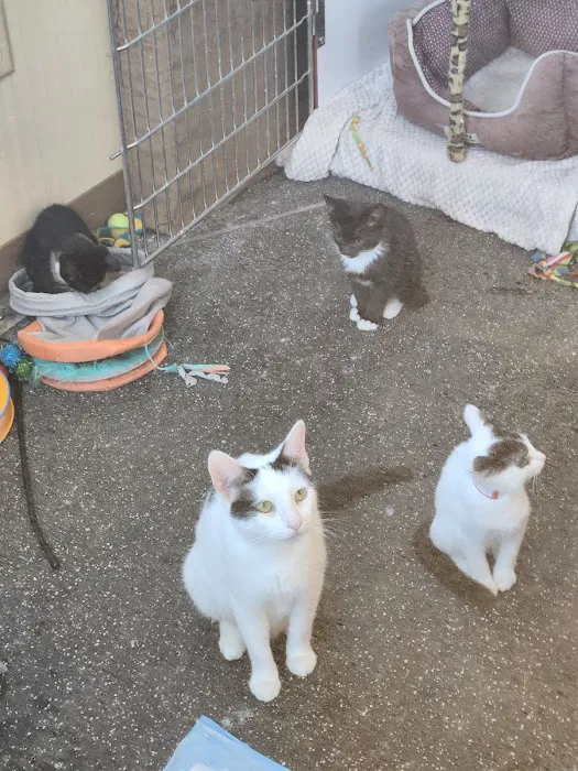 Passion for Paws Veterinary Clinic, Boarding and Daycare Picture 8