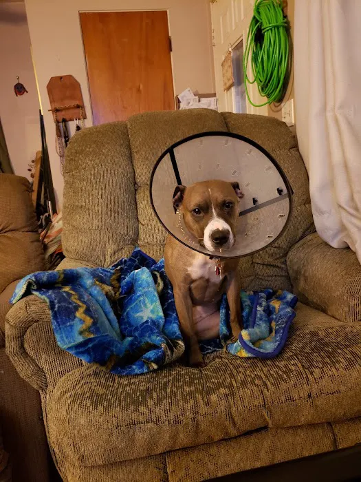 Banfield Pet Hospital Picture 2