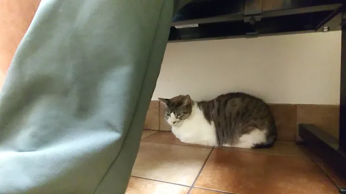 Banfield Pet Hospital Picture 1